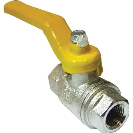AG Gas Lever Ball Valve with 1/4" BSP - PROTEUS MARINE STORE