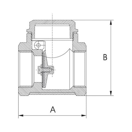 AG Swing Check Valve Brass 1" BSP Female - PROTEUS MARINE STORE