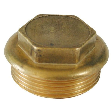 AG Brass Flanged Plug 2" BSP Parallel - PROTEUS MARINE STORE