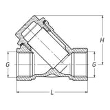 AG Strainer Y Brass 2" BSP - PROTEUS MARINE STORE