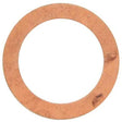 AG Fibre Washers Pack of 10 (1/2" BSP Male) - PROTEUS MARINE STORE