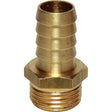 Maestrini Brass Straight Hose Tail (1/2" BSP Male to 16mm Hose) - PROTEUS MARINE STORE