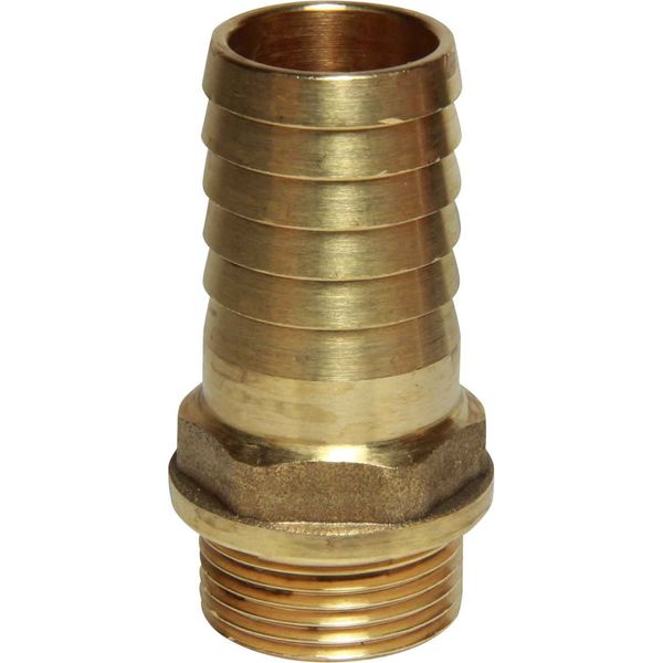 Maestrini Brass Straight Hose Tail (3/4" BSP Male to 25mm Hose) - PROTEUS MARINE STORE