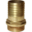 Maestrini Brass Straight Hose Tail (1-1/2" BSP Male to 45mm Hose) - PROTEUS MARINE STORE