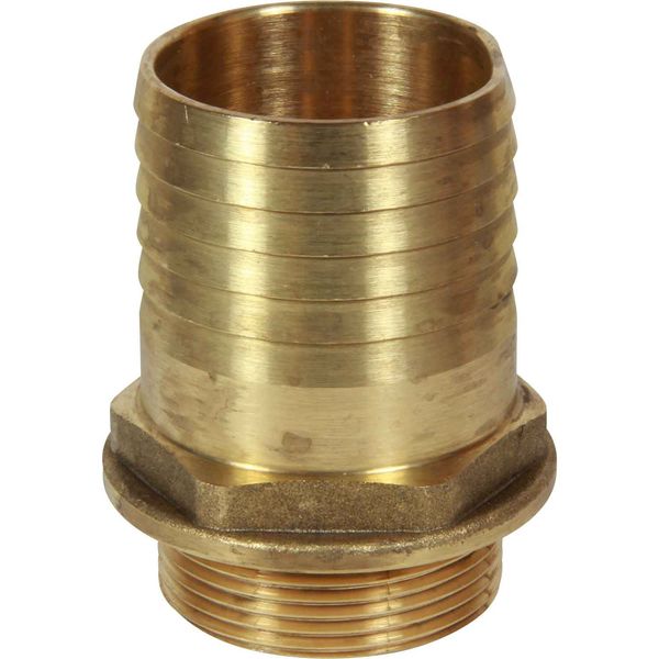 Maestrini Brass Straight Hose Tail (1-1/2" BSP Male to 51mm Hose) - PROTEUS MARINE STORE