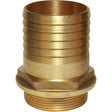 Maestrini Brass Straight Hose Tail (2" BSP Male to 60mm Hose) - PROTEUS MARINE STORE