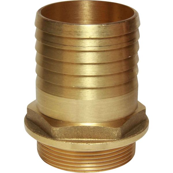 Maestrini Brass Straight Hose Tail (2" BSP Male to 60mm Hose) - PROTEUS MARINE STORE