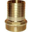 Maestrini Brass Straight Hose Tail (2-1/2" BSP Male to 63mm Hose) - PROTEUS MARINE STORE