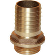 Maestrini Bronze Straight Hose Tail (1" BSP Male to 32mm Hose) - PROTEUS MARINE STORE