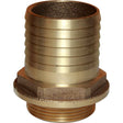 Maestrini Bronze Straight Hose Tail (1-1/2" BSP Male to 51mm Hose) - PROTEUS MARINE STORE