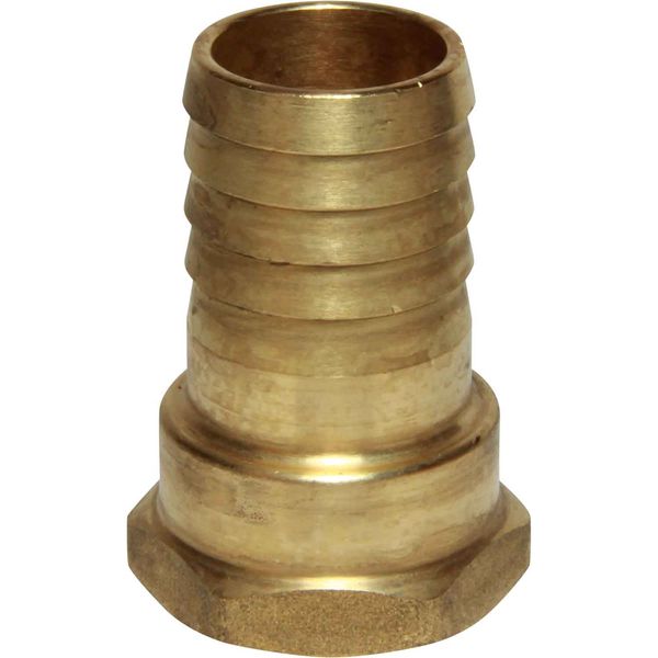 Maestrini Brass Straight Hose Tail (3/4" BSP Female to 25mm Hose) - PROTEUS MARINE STORE