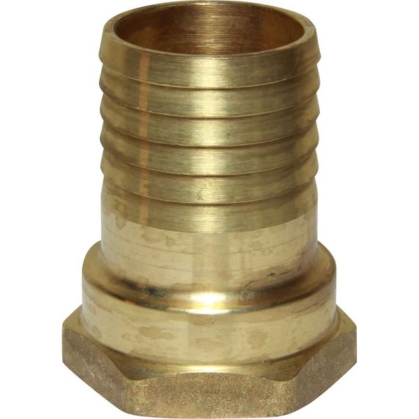 Maestrini Brass Straight Hose Tail (1-1/4" BSP Female to 38mm Hose) - PROTEUS MARINE STORE