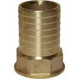 Maestrini Brass Straight Hose Tail (1-1/4" BSP Female to 40mm Hose) - PROTEUS MARINE STORE