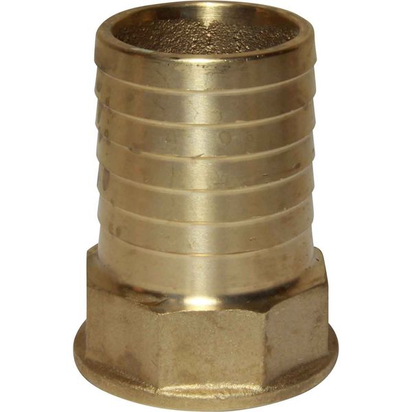 Maestrini Brass Straight Hose Tail (1-1/4" BSP Female to 40mm Hose) - PROTEUS MARINE STORE