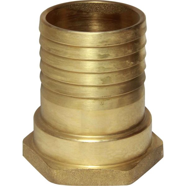 Maestrini Brass Straight Hose Tail (1-1/2" BSP Female to 45mm Hose) - PROTEUS MARINE STORE