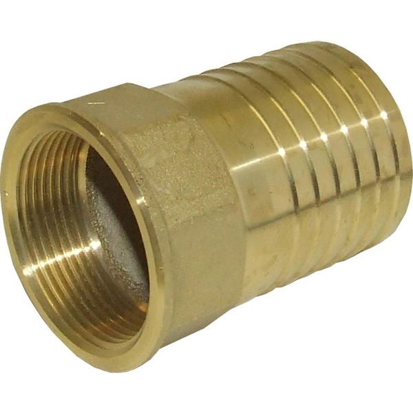 Maestrini Brass Straight Hose Tail (1-1/2" BSP Female to 50mm Hose) - PROTEUS MARINE STORE