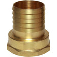 Maestrini Brass Straight Hose Tail (2" BSP Female to 50mm Hose) - PROTEUS MARINE STORE