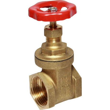 Maestrini Brass Gate Valve with Brass Body (1-1/4" BSP Female) - PROTEUS MARINE STORE