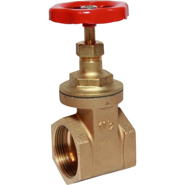 Maestrini Brass Gate Valve with Bronze Body (1-1/2" BSP Female) - PROTEUS MARINE STORE