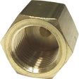 Maestrini Brass Blanking Cap (1/4" BSP Female) - PROTEUS MARINE STORE