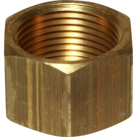 Maestrini Brass Blanking Cap (1" BSP Female) - PROTEUS MARINE STORE