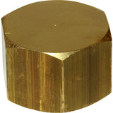 Maestrini Brass Blanking Cap (1" BSP Female) - PROTEUS MARINE STORE