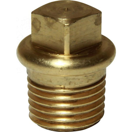 Maestrini Brass Tapered Plug (1/4" BSP Male) - PROTEUS MARINE STORE