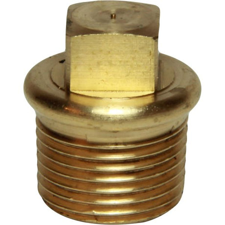 Maestrini Brass Tapered Plug (3/8" BSP Male) - PROTEUS MARINE STORE