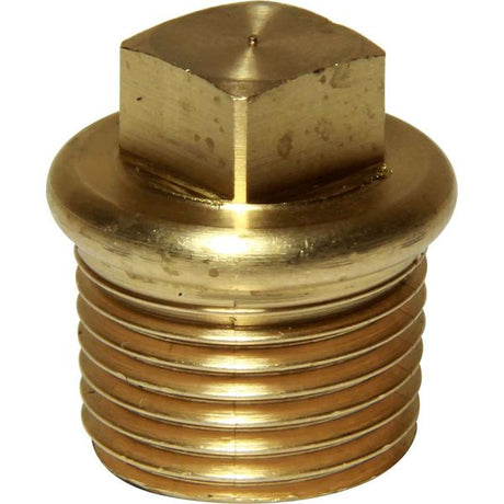 Maestrini Brass Tapered Plug (1/2" BSP Male) - PROTEUS MARINE STORE