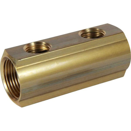 Maestrini Brass Female Pipe Manifold (1" BSP with 2 x 1/2" Inlets) - PROTEUS MARINE STORE