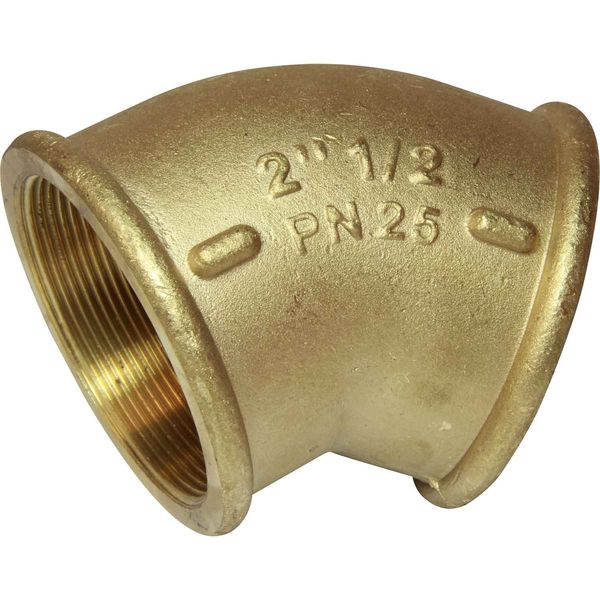 Maestrini DZR Compact 45 Degree Elbow (2-1/2" BSP Female) - PROTEUS MARINE STORE