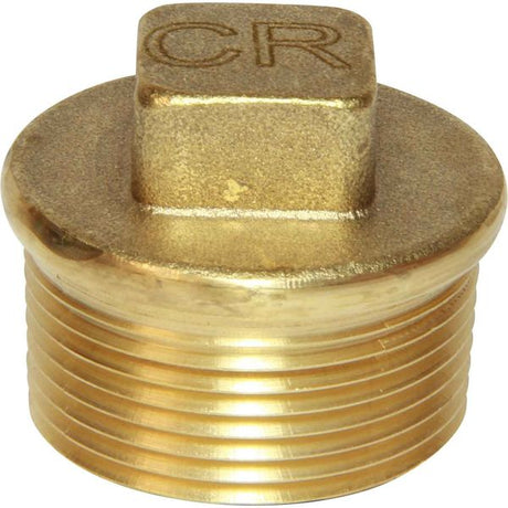 Maestrini DZR Tapered Plug (1-1/4" BSP Male) - PROTEUS MARINE STORE