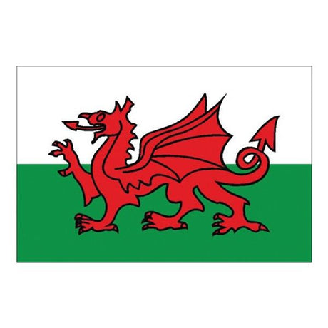 Flag Welsh Dragon (30 x 45cm) - PROTEUS MARINE STORE