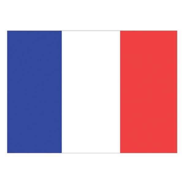 Flag France (30 x 45cm) - PROTEUS MARINE STORE