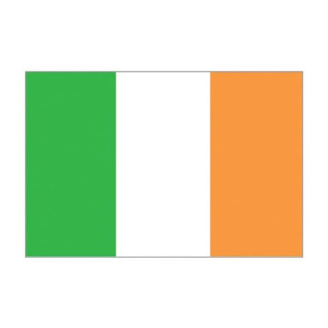 Flag Ireland (30 x 45cm) - PROTEUS MARINE STORE