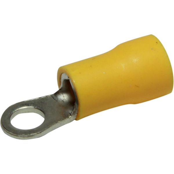 AMC Terminal Loop 4.3mm Yellow (50) - PROTEUS MARINE STORE