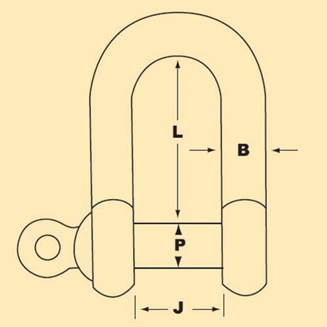 AG Galvanised D Shackle 8mm (5/16") (Each) - PROTEUS MARINE STORE