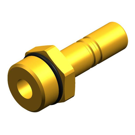 Whale Stem Adapter Male 1/2" BSP-12mm Brass - PROTEUS MARINE STORE