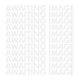 RWO Screw Bung & Socket & Seal (x50) - PROTEUS MARINE STORE