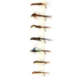 Snowbee Stillwater & General Fly Selection - SF106 Pheasant Tails - PROTEUS MARINE STORE