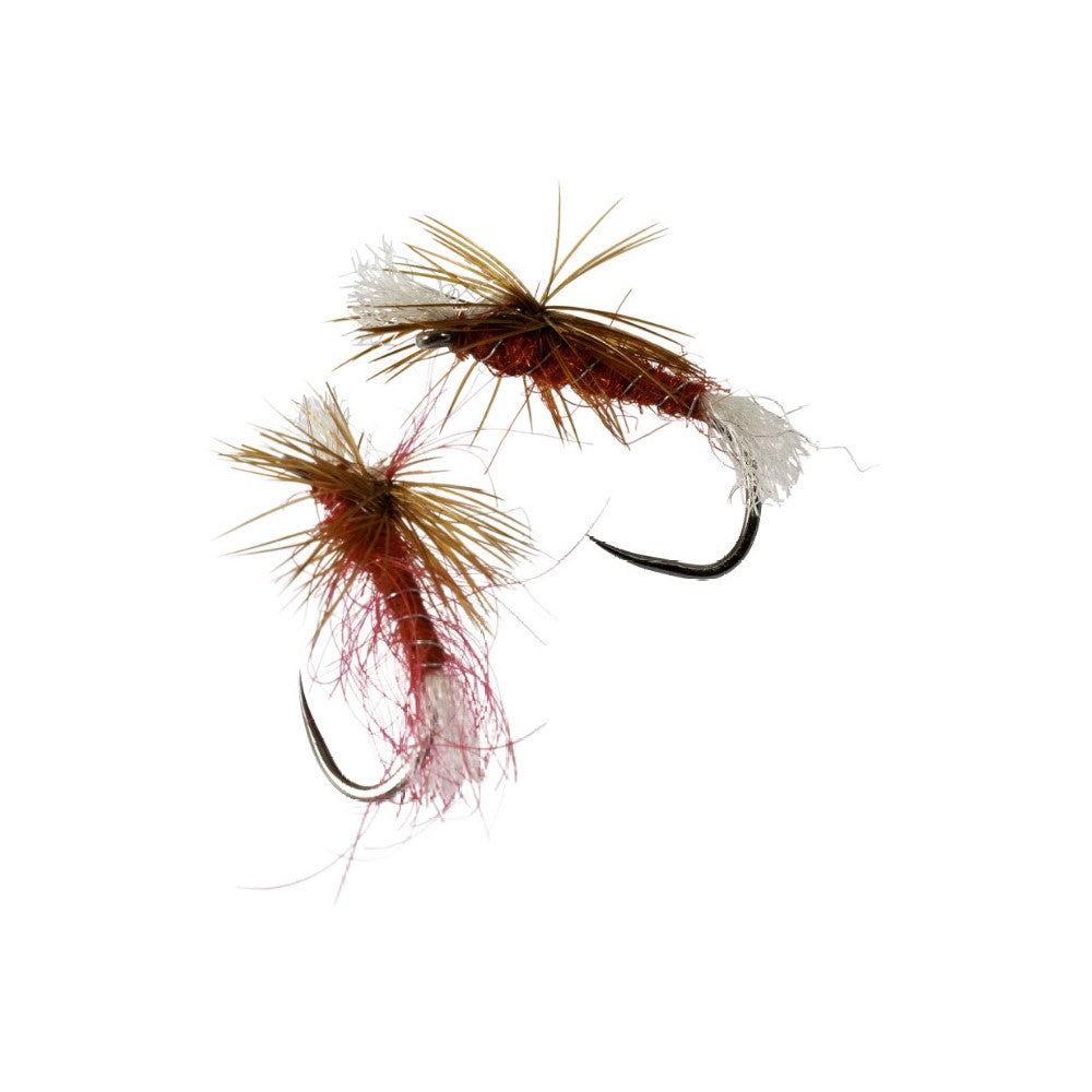 Snowbee Barbless Fly Selection - SF136 Red Hot Dries - PROTEUS MARINE STORE