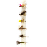 Snowbee River Barbed Fly Selection - SF200 River Dries - PROTEUS MARINE STORE